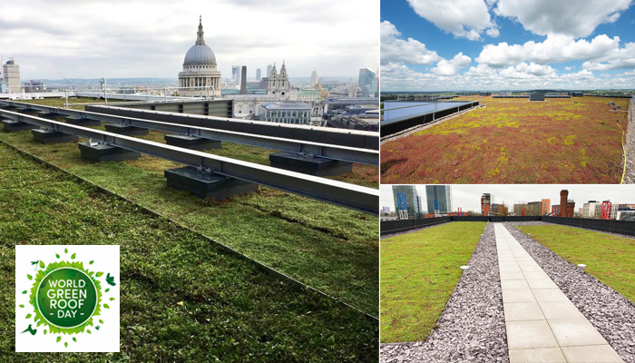 World Green Roof Day
