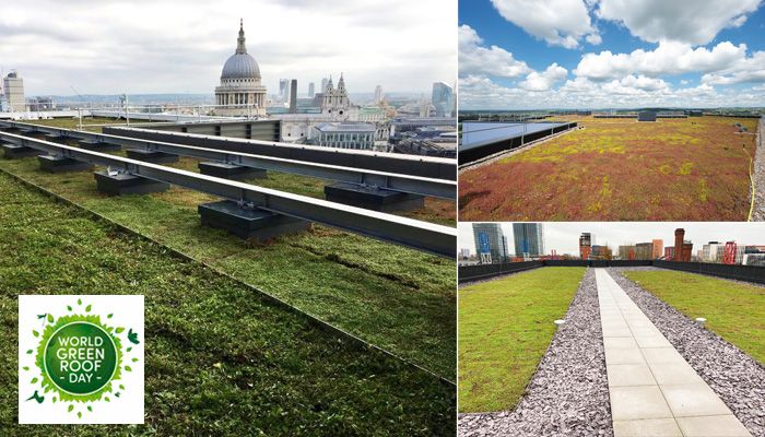 World Green Roof Day - MAC Roofing